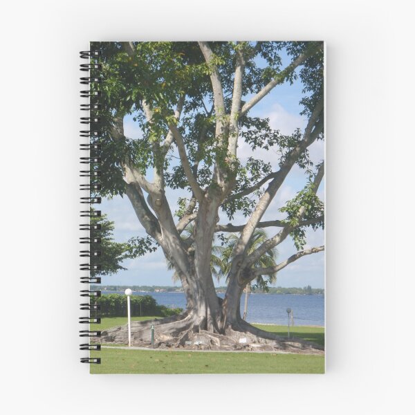 Aperçu de l'œuvre Tree of Life  créée et vendue par MsLynn.