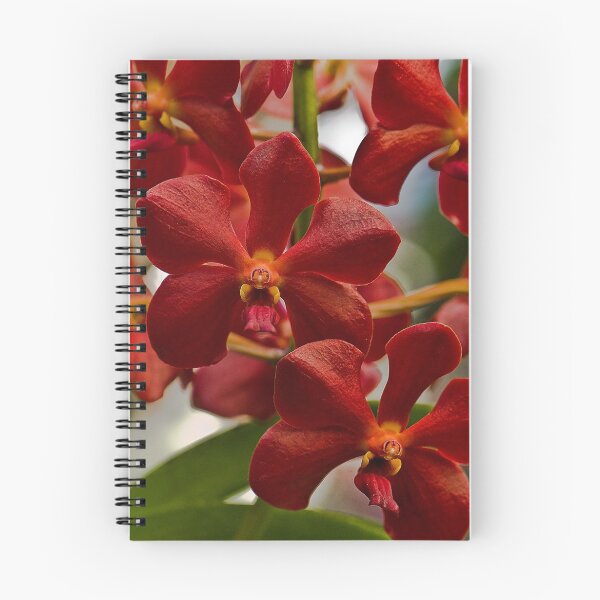 Item preview, Red Orchids designed and sold by JHRphotoART.