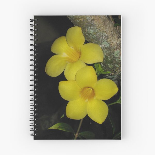 Item preview, Yellow Flower Resting designed and sold by Jessica Snyder.