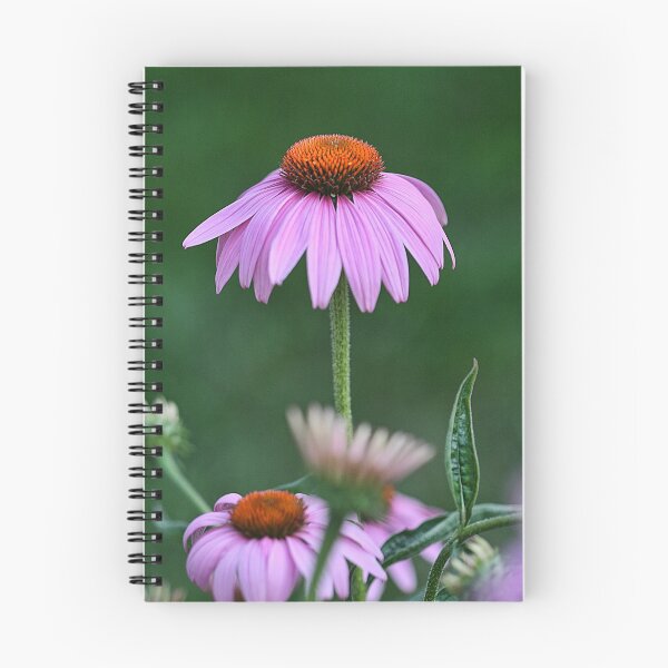 Item preview, Above the Rest designed and sold by Kelly Cavanaugh.