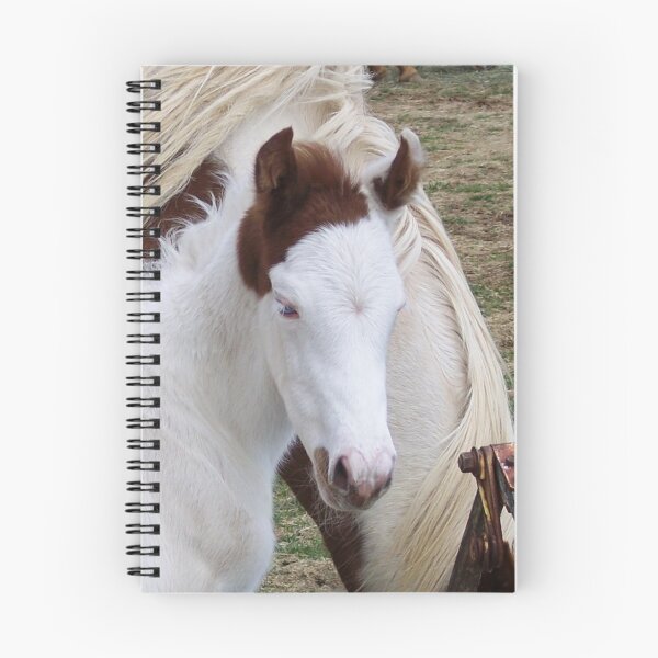 Item preview, You Got The Cuttest Little Baby Face designed and sold by NatureGreeting Cards ©ccwri.