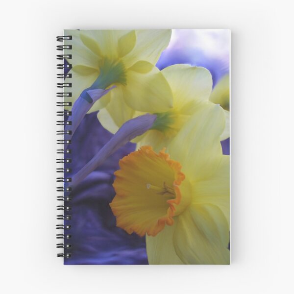 Item preview, Daffys designed and sold by NatureGreeting Cards ©ccwri.