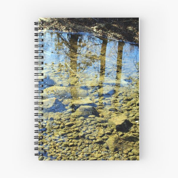 Item preview, "River Bottom & Reflections" designed and sold by Lynn Bawden.