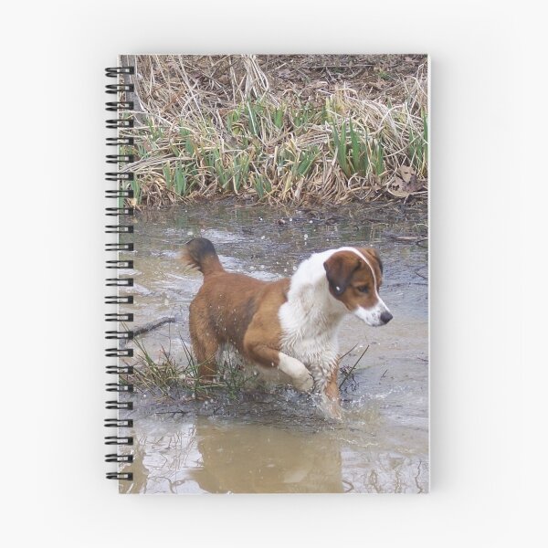 Item preview, Buddy On A Frog Hunt designed and sold by NatureGreeting Cards ©ccwri.