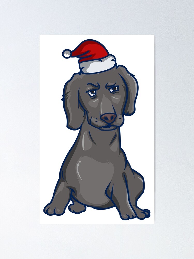 dachshund presents