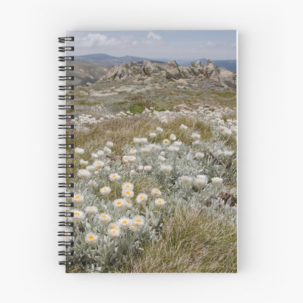 Item preview, Mount Kosciuszko designed and sold by Colin  Ewington.