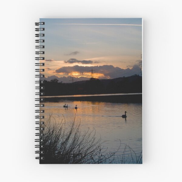 Item preview, Swans at Sunset designed and sold by Michelle Lovegrove.
