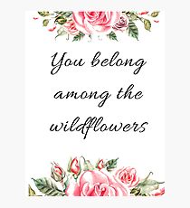 You belong among the wildflowers, Quotes, gayfeather, goldfields, red maids, wolly daisy, balloon flower, rose, shepherd's clock, butterweed, bluebell, mountain pride, sticky aster, blazing star Photographic Print