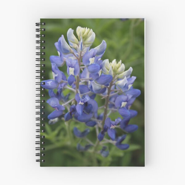 Item preview, Bluebonnets designed and sold by StonePics.