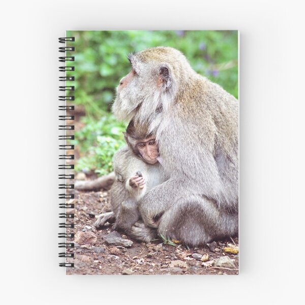Item preview, Macaque Mother and Baby designed and sold by Michael Moss Photography.