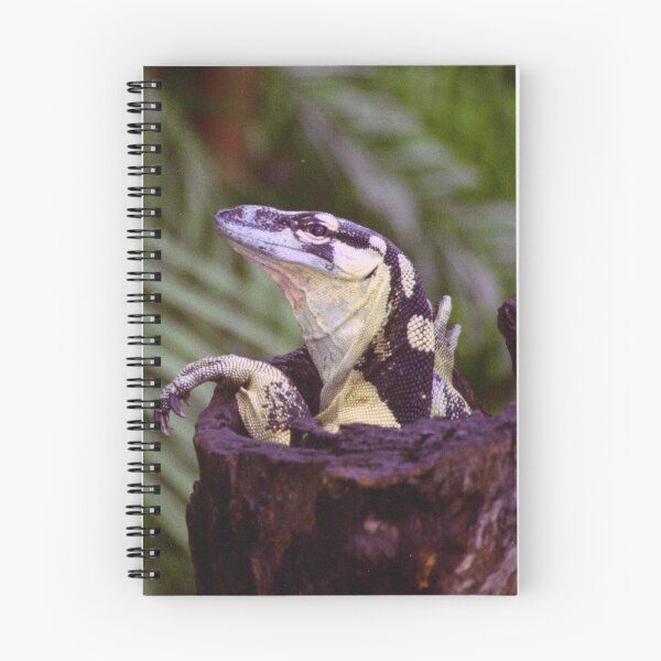 Item preview, Grumpy Lizard designed and sold by Keith Robinson.