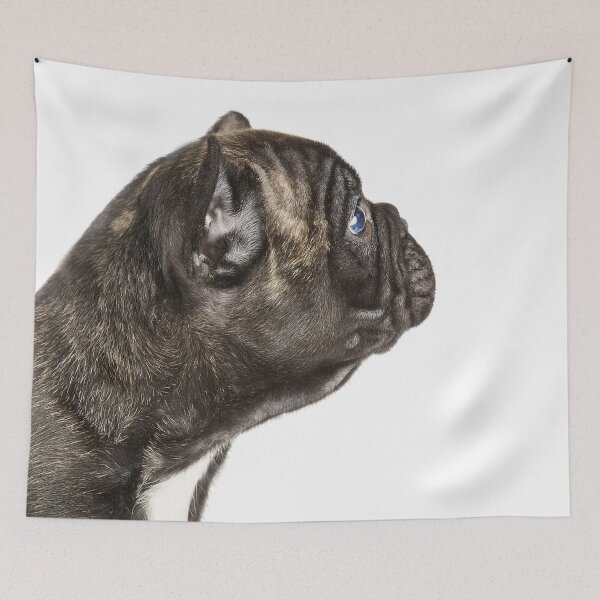 Item preview, Curious designed and sold by ernest123.