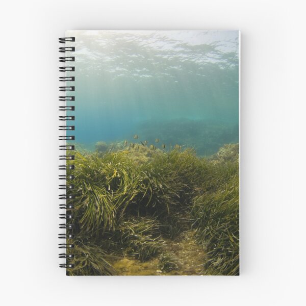 Artikelvorschau, The reef entworfen und verkauft von spyderdesign.