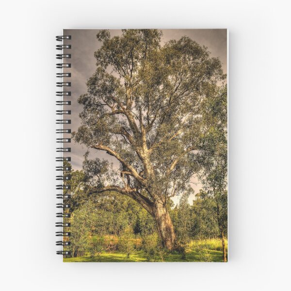 Item preview, Strength - Wonga Wetlands, Albury NSW - The HDR Experience designed and sold by Salieri1627.