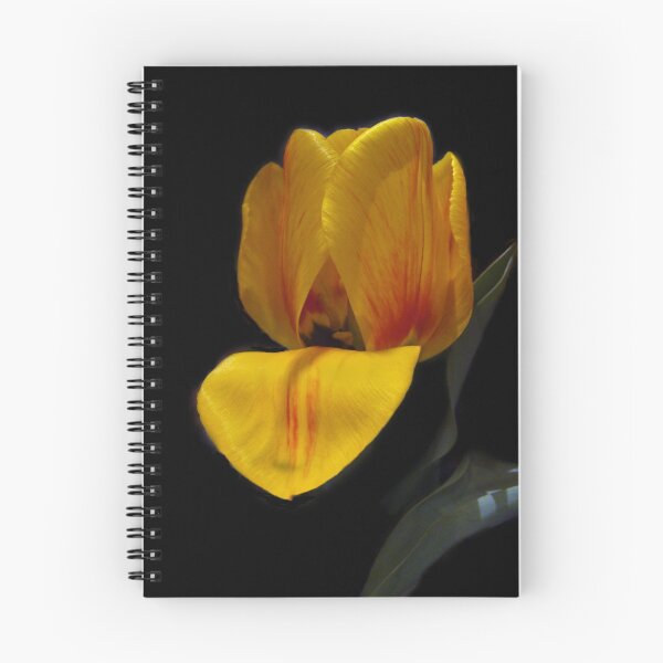 Item preview, Pout designed and sold by enchantedImages.