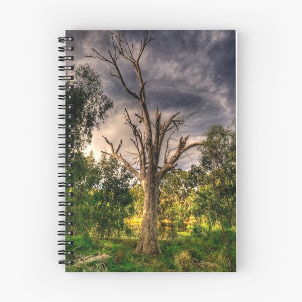 Item preview, Reach For The Sky - Wonga Wetlands,Albury - The HDR Experience designed and sold by Salieri1627.