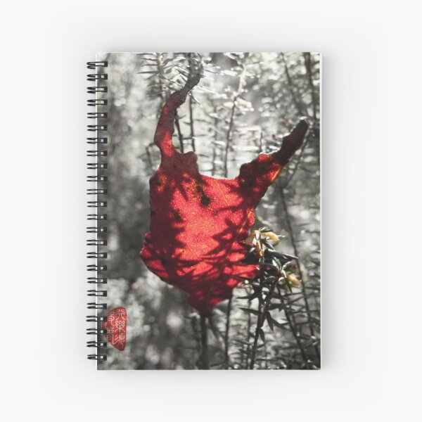 Chewed Spiral Notebook