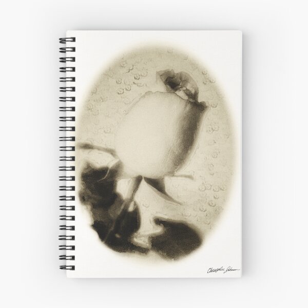 Item preview, Pink and White Carnations 3 Antiqued designed and sold by TravelPhotoArt.
