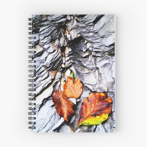 Aperçu de l'œuvre Fall Mountain Leaves, Austria créée et vendue par Chelsea Herzberg.