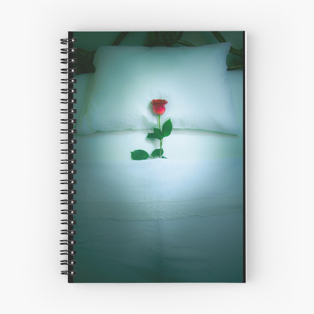 Item preview, Spiral Notebook designed and sold by ResCogitans.