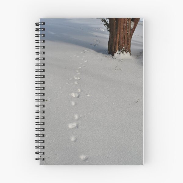 Item preview, Evidence designed and sold by Rebecca Bryson.
