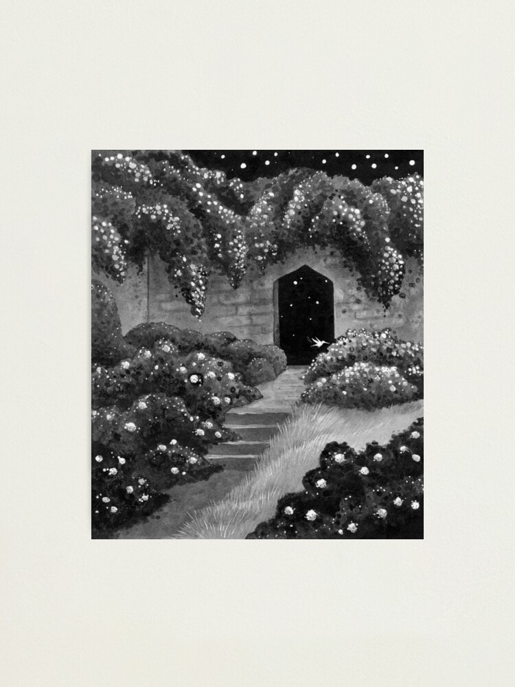 Alternate view of Midnight Garden Photographic Print