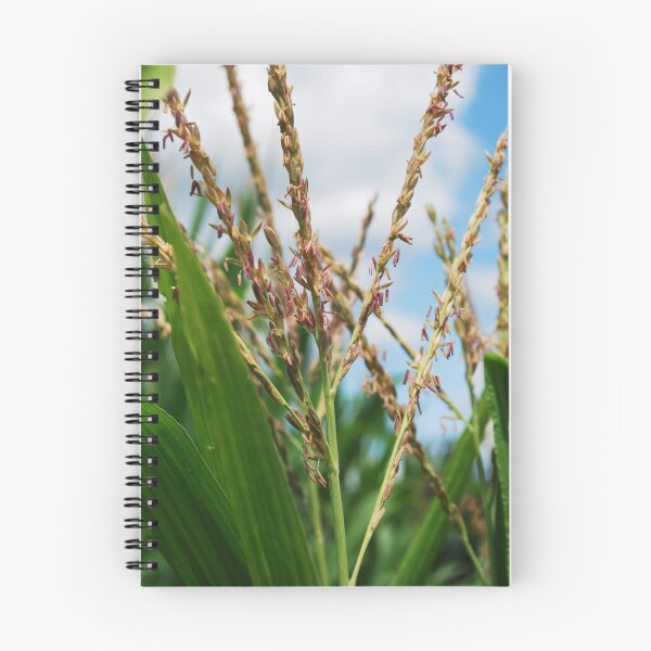 Item preview, Corn Tassel -Villisca, Ia designed and sold by Chelsea Herzberg.