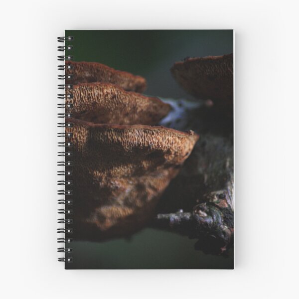 Aperçu de l'œuvre Wood Fungus créée et vendue par FraserJ.