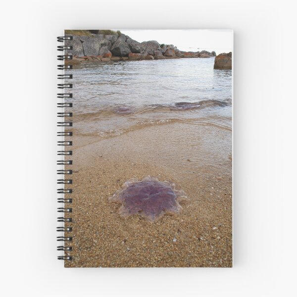 Item preview, Big Jellyfish designed and sold by Antonia Newall.