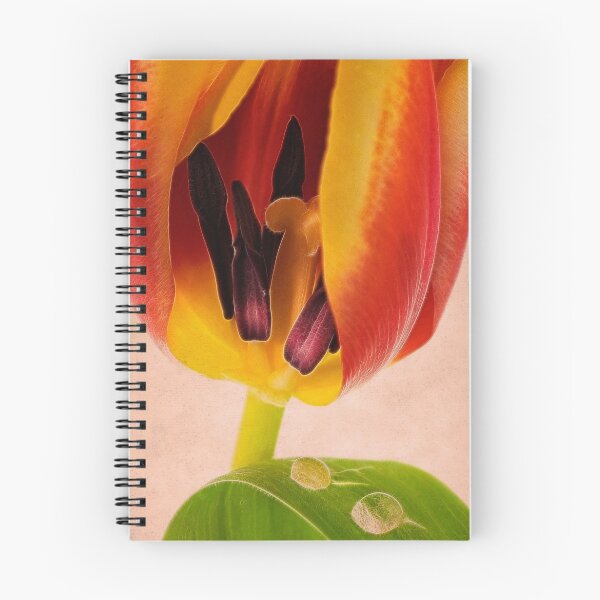 Item preview, inmost designed and sold by Priska Wettstein.