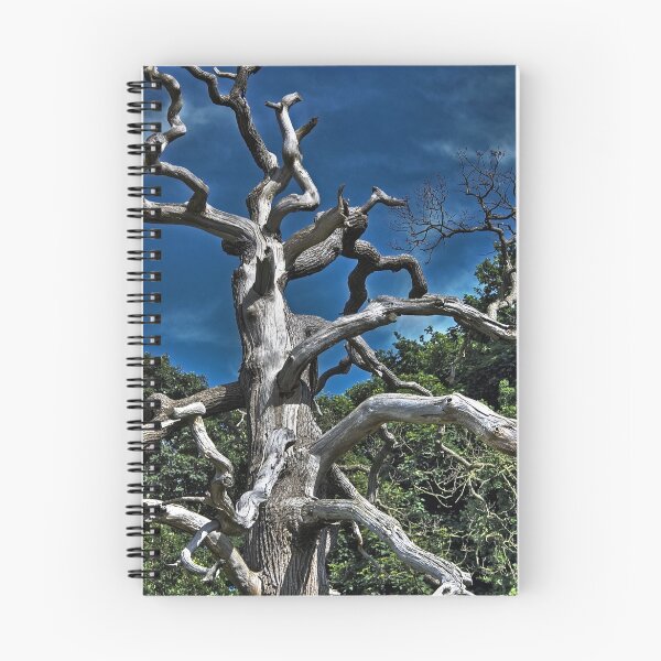 Item preview, Gnarled and Twisted designed and sold by Ian Jarvis.