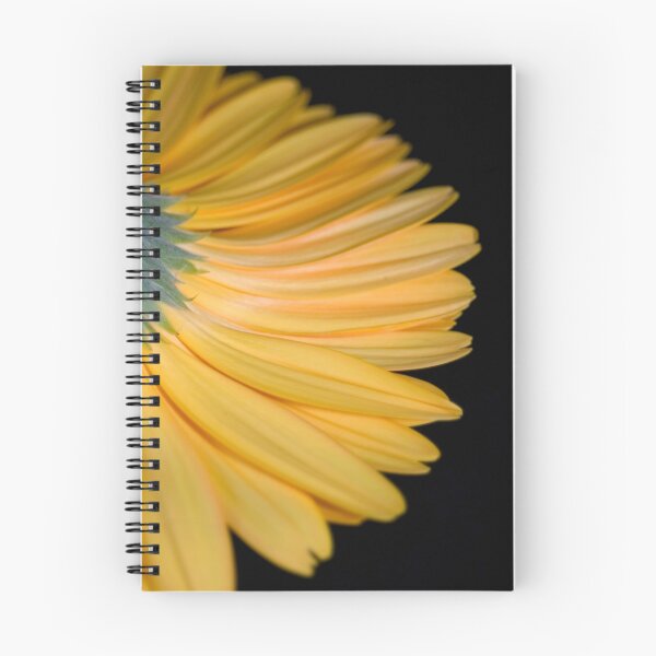 Item preview, Yellow petals designed and sold by Rebecca Claire Edwards.