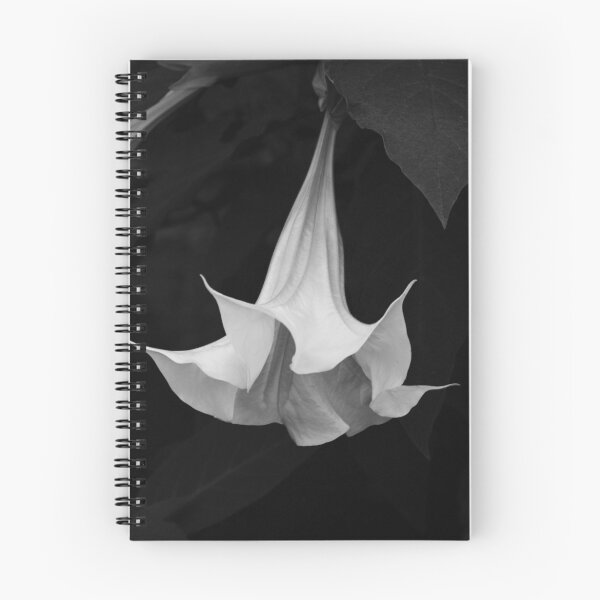 Item preview, Trumpet in Monochrome designed and sold by ElyseFradkin.
