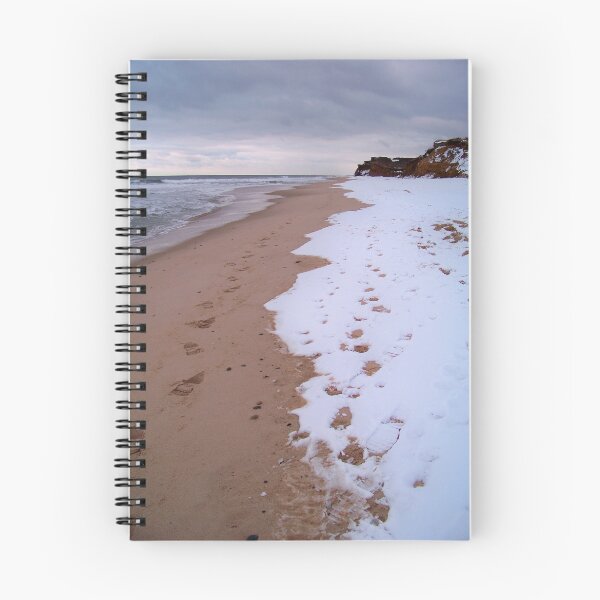 Item preview, Winter At Shadmoor State Park designed and sold by Dandelion Dilluvio.