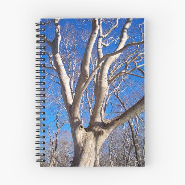 Item preview, No Leaves On The Beech designed and sold by Dandelion Dilluvio.