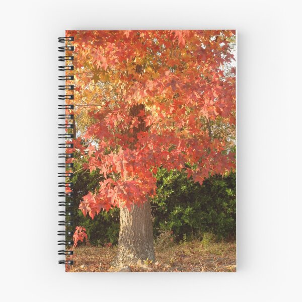 Item preview, Fall in Texas #2 designed and sold by Janice Crayton.
