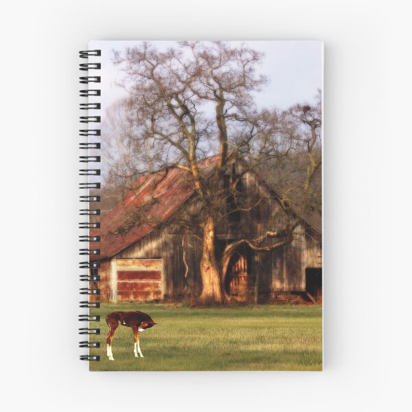 Item preview, Old Barn, and Spooky Tree, & The New Spring Foal designed and sold by NatureGreeting Cards ©ccwri.