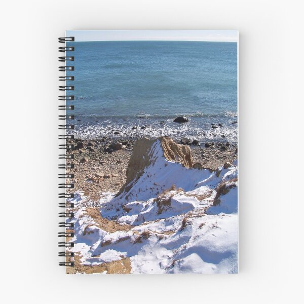 Item preview, Winter at Camp Hero State Park designed and sold by Dandelion Dilluvio.