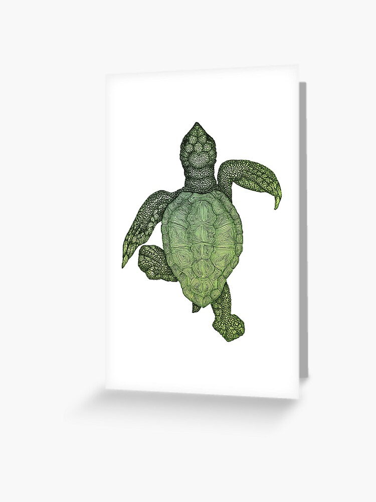 Baby Sea Turtle Greeting Card Baby Sea Turtle Greeting Card