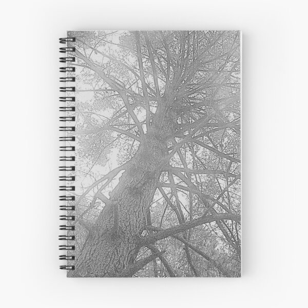 Item preview, The climbing Tree- Wedderburn designed and sold by BecQuist.