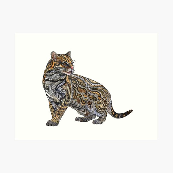 Ocelot Art Print