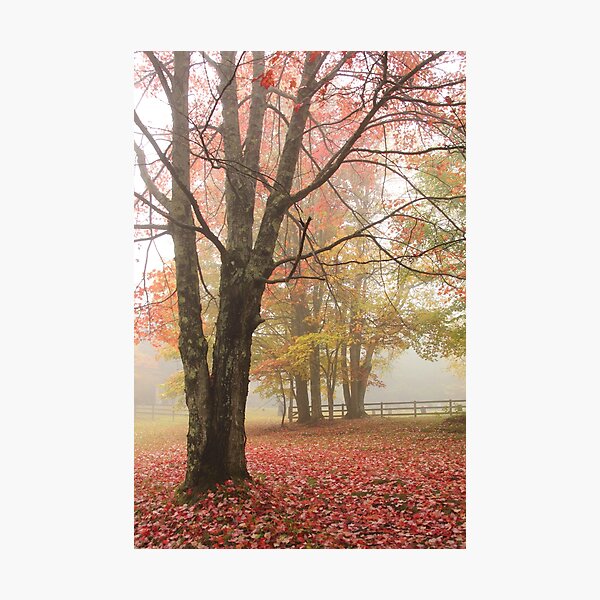 Item preview, Vermont Beauty designed and sold by Autumn Seas Photography.