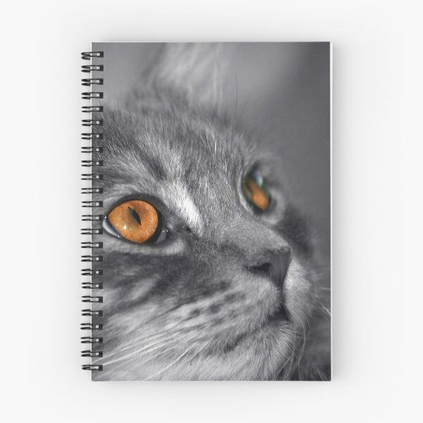 Item preview, Orange designed and sold by Susanne Correa.