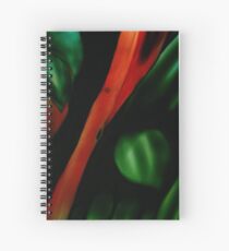Cuaderno de espiral Tropic