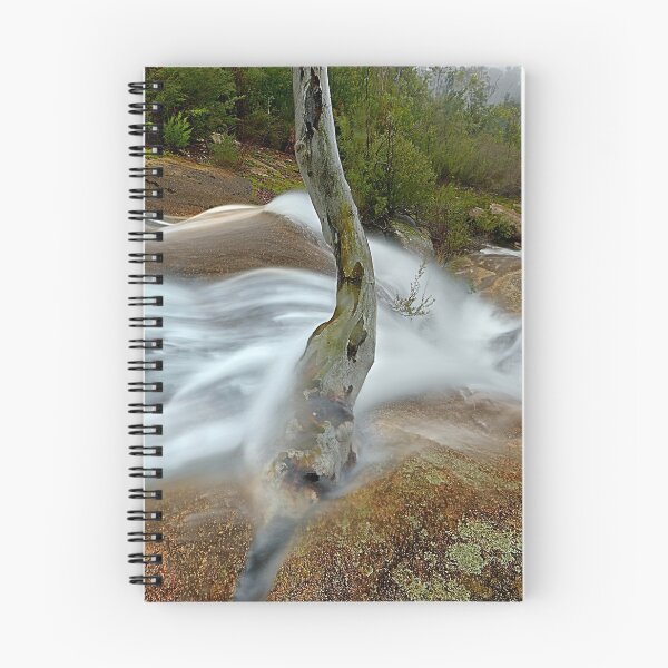 Item preview, Tree on granite, Mount Buffalo designed and sold by Kevin McGennan.