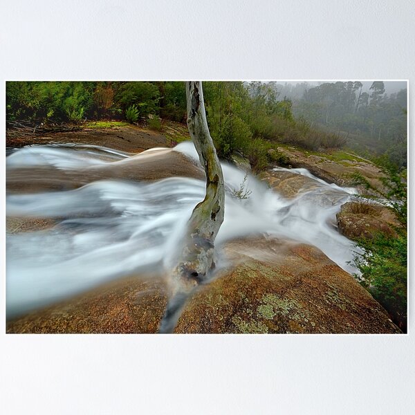 Item preview, Tree on granite, Mount Buffalo designed and sold by Kevin McGennan.