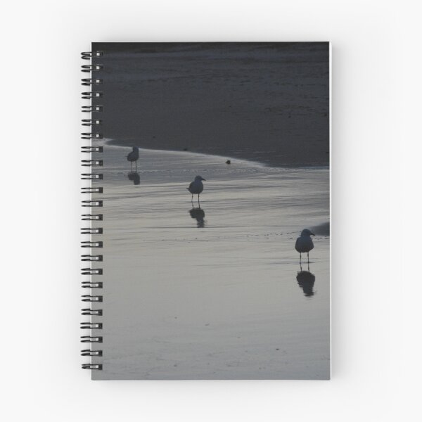 Item preview, Ballina Gulls designed and sold by Richard  Willett.