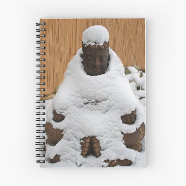 Item preview, Stone Buddha in a blanket of snow designed and sold by Michael Brewer.