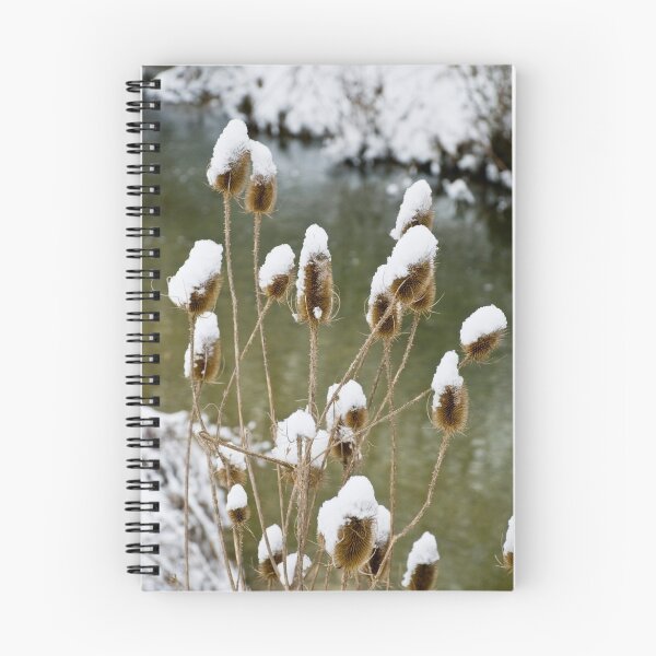 Item preview, Snow-capped thistles by a stream designed and sold by Michael Brewer.