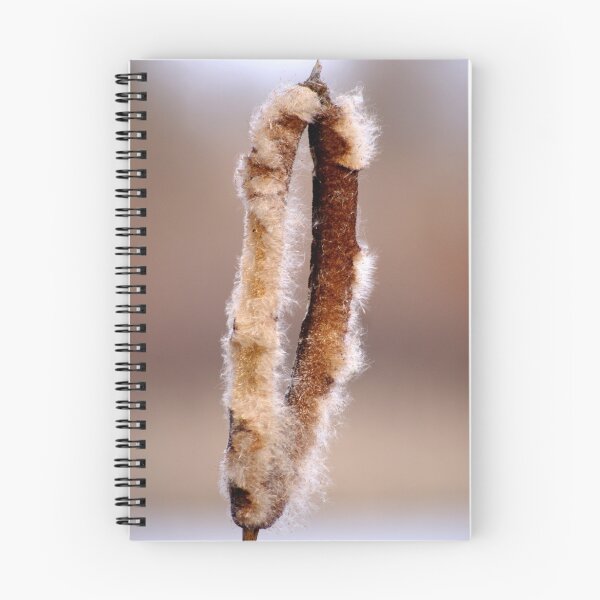 Item preview, Cattail #3 designed and sold by Betsy Seeton.